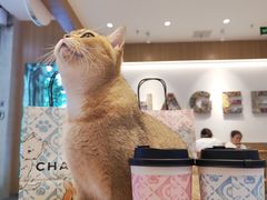 -万达广场(合肥包河店)