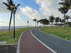 -野狸岛