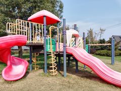 -金山农民画村-枫泾波兰倒置屋