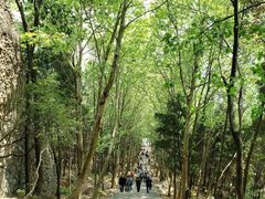-窦圌山风景区