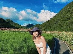 -广州市石门国家森林公园