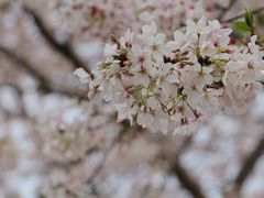 -西北湖绿化广场