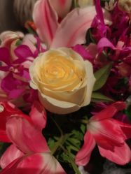 -虹桥迎宾馆·宴会厅