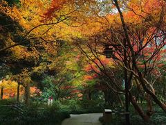 -浙江大学(玉泉校区)