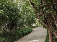 -杭州半山国家森林公园