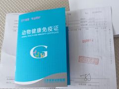 -北京观赏动物医院·24小时大型综合·猫专科·异宠专科