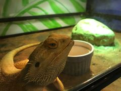 -藦茜花园宠物主题亲子互动体验馆(国顺东路店)