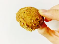 -珍妮曲奇聪明小熊(上环店)