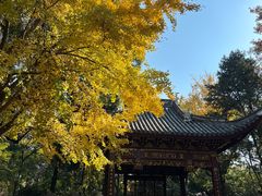 -汇龙潭