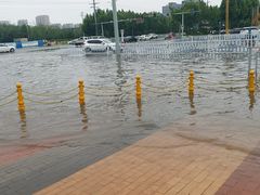 -万达广场(济南魏家庄店)