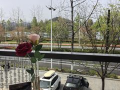 -宝荣鱼馆·临湖之宴(千岛湖店)