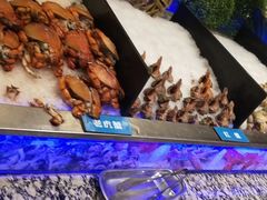 -梅园国际大酒店·自助餐厅(光明港店)