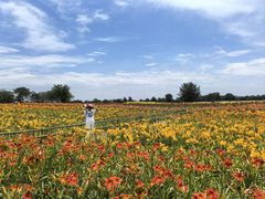 -汉长安城未央宫国家考古遗址公园