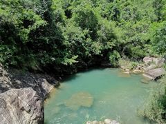 -广州白江湖森林公园