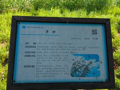 -长广溪湿地公园