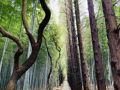 -同里国家湿地公园