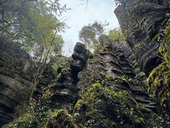 -梭布垭石林景区