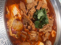 -古乐牛香•鲜牛肉牛杂火锅(系马桩总店)
