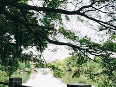-小洲村