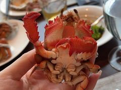 -Social 秀西餐厅-长沙瑞吉酒店(运达店)