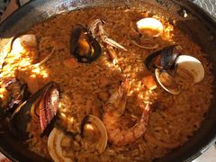 -Tapa Tapa