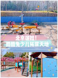 -酷酷兔少儿拓展天地