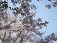 -龙美术馆(西岸馆)
