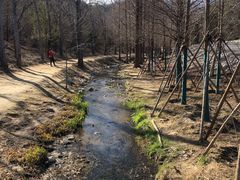 -白水寺森林公园