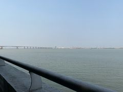 -大湾区中央湿地公园