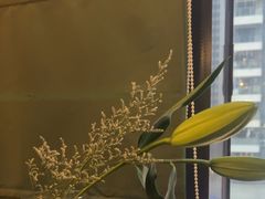 -澳莱酷品牛扒(开平东汇城店)