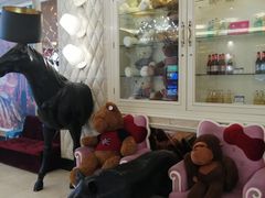 -自由港KTV(王子公主金平店)