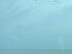 -悬崖咖啡厅