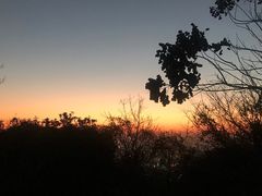 -杭州半山国家森林公园