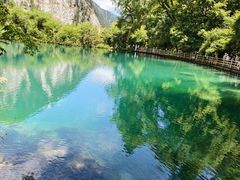 -九寨沟-树正沟