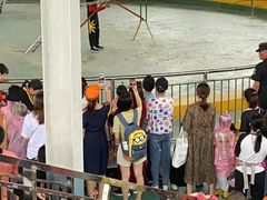 -泉州海丝野生动物世界