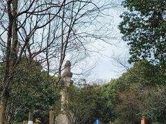 -杭州半山国家森林公园