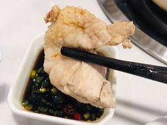 猪肚鸡-广顺鑫猪肚鸡(经八路店)