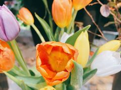 -何兮花店·气球派对鲜花店(马桥银春路万科城店)