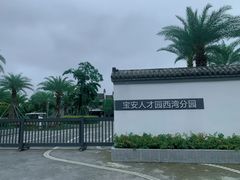 -宝安西湾红树林湿地公园