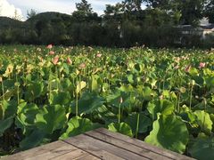 -贵阳蓬莱仙界