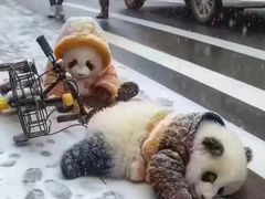-万达广场(大明宫店)