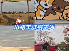 -阳澄湖半岛旅游度假区