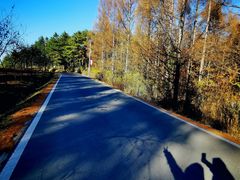 -帽儿山国家森林公园