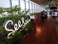-Seesaw Coffee(朝阳大悦城店)