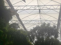 -北国之春国宴(乌兰察布店)