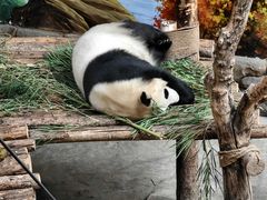 -青藏高原野生动物园