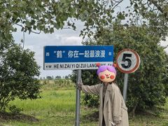 -盐城丹顶鹤湿地生态旅游区