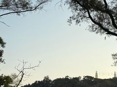 -福道