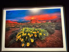 -罗红摄影艺术馆