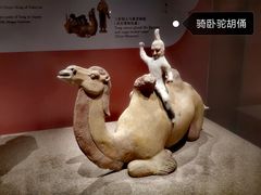 -南山博物馆